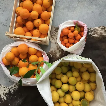 Masseria Canali