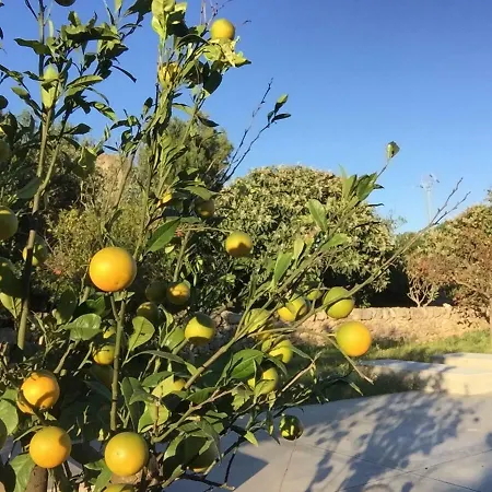 Masseria Canali Holiday home *