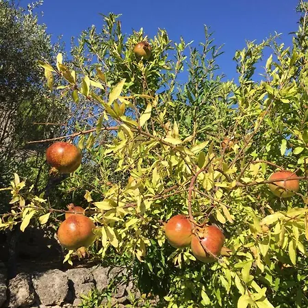 Nyaraló Masseria Canali