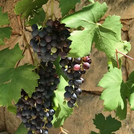 度假居 Masseria Canali Serranova